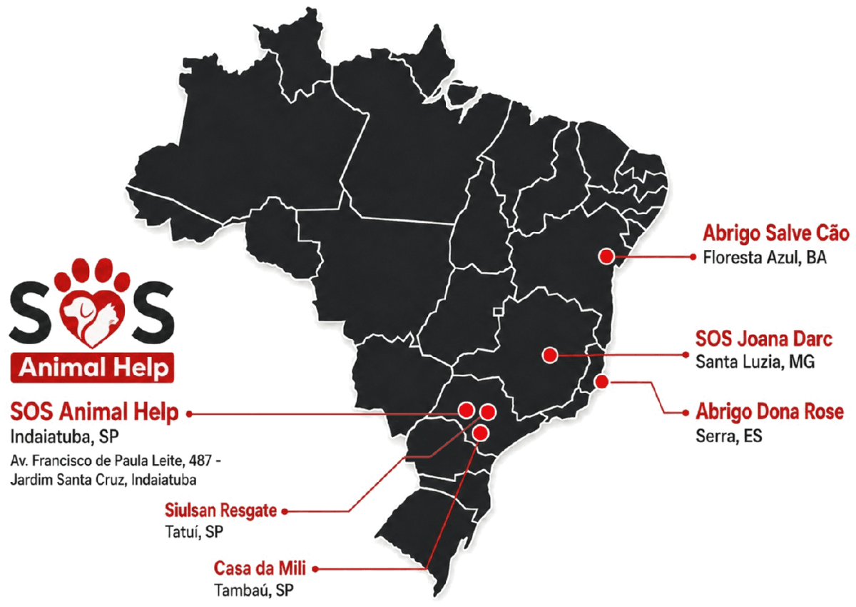 Mapa do Brasil marcando a sede da SOS Animal Help em Indaiatuba (SP) e os projetos integrados: Siulsan Resgate em Tatuí (SP), Casa da Mili em Tambaú (SP), SOS Joana Darc em Santa Luzia (MG), Abrigo Salve Cão em Floresta Azul (BA) e Abrigo Dona Rose em Serra (ES).
