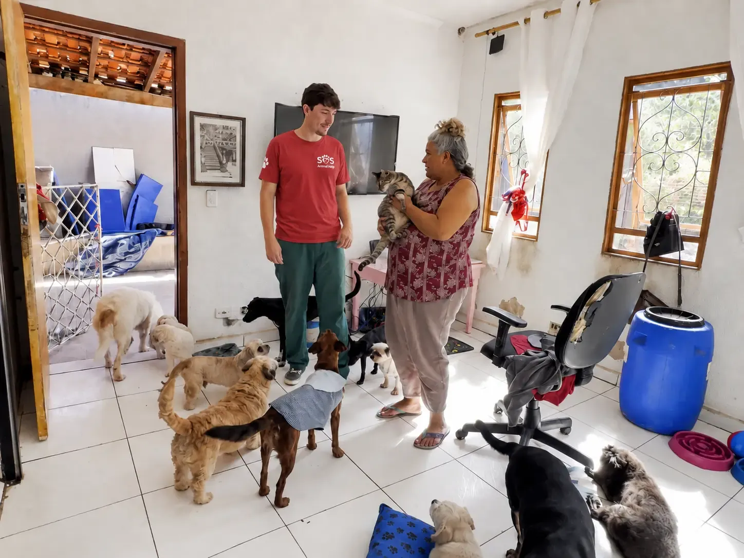 An SOS Animal Help team member in a red shirt talking with a rescuer holding a cat, inside the house where she shelters dozens of dogs.